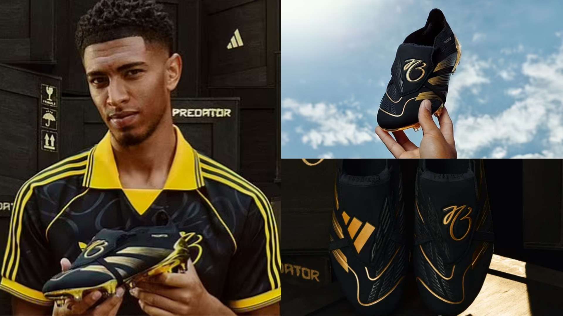 转会市场的 转会市场的