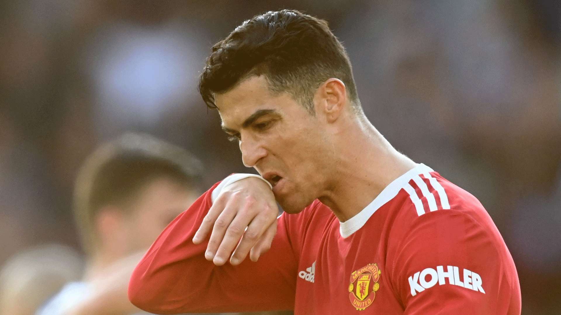 了无数年轻 了无数年轻